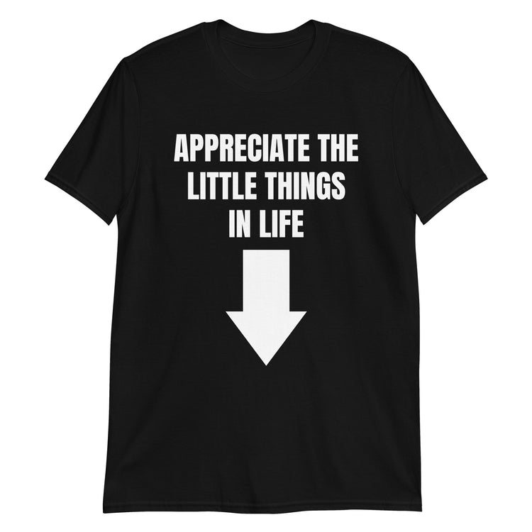 Black unisex t-shirt with "Appreciate The Little Things In Life" graphic print, front view